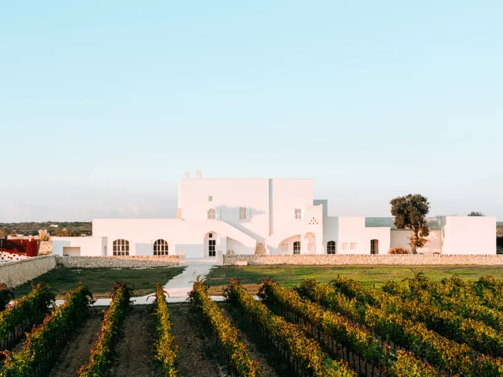 La Masseria — fotografia 01